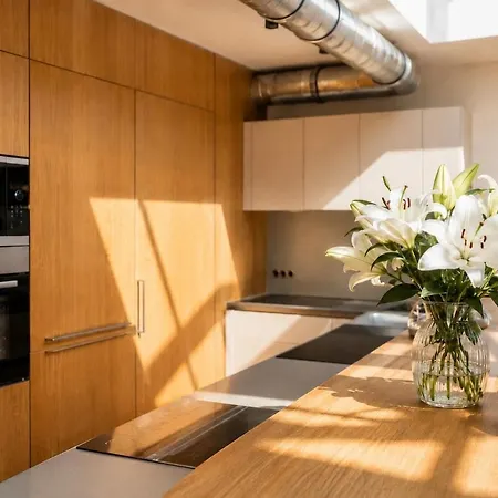 Apartment Design Penthouse With Private Rooftop Jacuzzi & Ac *